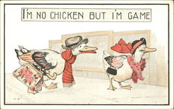 I'm No Chicken But I'm Game Chickens Postcard Postcard