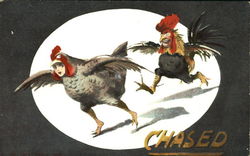 Chased Postcard