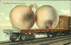 Onions on Railcar Postcard