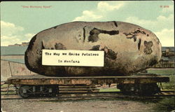 One Montana Spud Postcard