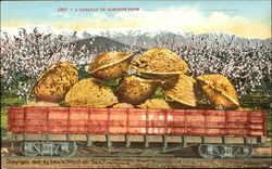 A Carload Of Almonds Exaggeration Postcard Postcard