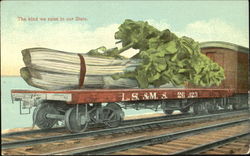 Celery We Raise In Our State Postcard