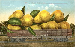 A Carload Of Pears Exaggeration Postcard Postcard