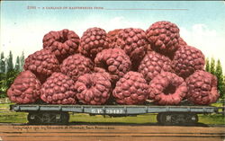 A Carload Of Raspberries Postcard