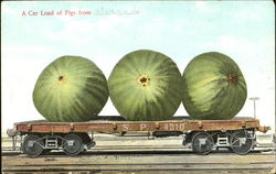 A Car Load Of Figs From Alvarado Exaggeration Postcard Postcard