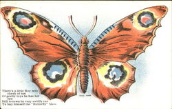 Farnum's Butterfly Postcard