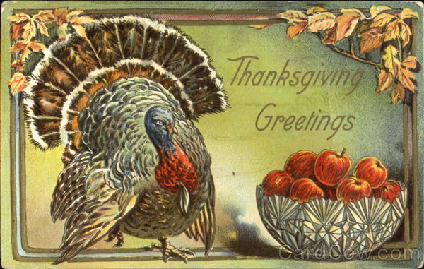 Thanksgiving Greetings Turkeys