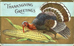 Thanksgiving Greetings Postcard