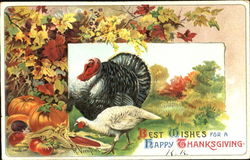 Best Wishes For A Happy Thanksgiving Turkeys Postcard Postcard