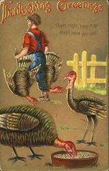 Thanksgiving Greetings Turkeys Postcard Postcard