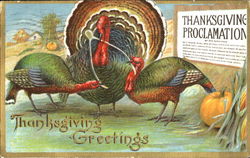 Thanksgiving Greetings Turkeys Postcard Postcard