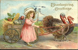 Thanksgiving Greetings Postcard