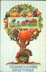 Thanksgiving Greetings Postcard