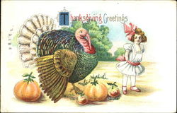 Thanksgiving Greetings Postcard