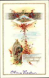 Thanksgiving Greetings Postcard