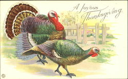 A Joyous Thanksgiving Postcard