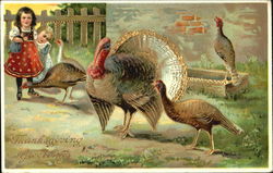 Thanksgiving Greetings Postcard