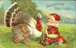 Thanksgiving Greetings Postcard