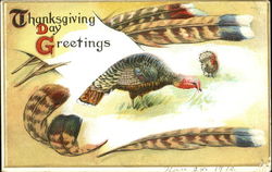 Thanksgiving Day Greetings Postcard