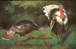 Good Wishes For Thanksgiving Day Postcard