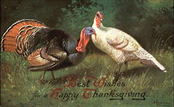 Best Wishes For A Happy Thanksgiving Postcard