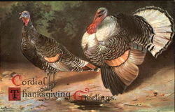 Cordial Thanksgiving Greetings Postcard