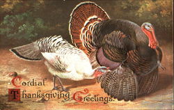 Cordial Thanksgiving Greetings Postcard