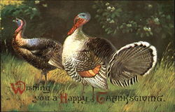 Wishing You A Happy Thanksgiving Postcard