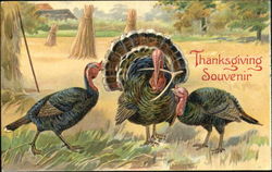 Thanksgiving Souvenir Postcard