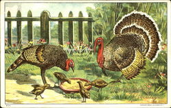 Thanksgiving Greetings Postcard