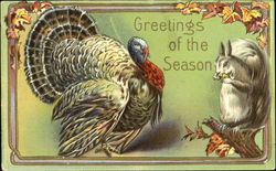 Greetings Of The Season Postcard