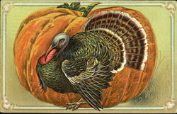 Thanksgiving Greetings Postcard