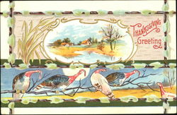 Thanksgiving Greeting Postcard