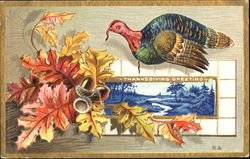 Thanksgiving Greeting Postcard