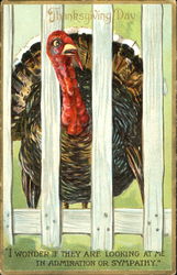 Thanksgiving Day Turkeys Postcard Postcard