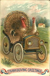 Thanksgiving Greetings Turkeys Postcard Postcard