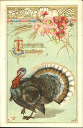 Thanksgiving Greetings Turkeys Postcard Postcard