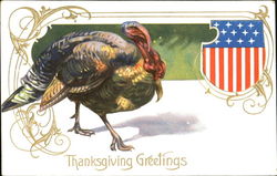 Thanksgiving Greetings Postcard