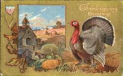 Thanksgiving Greetings Turkeys Postcard Postcard