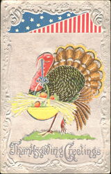 Thanksgiving Greetings Postcard