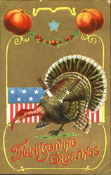 Thanksgiving Greetings Postcard