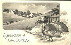 Thanksgiving Greetings Postcard