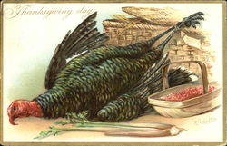 Thanksgiving Day Postcard