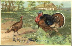 A Merry Thanksgiving Postcard