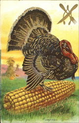 Thanksgiving Greetings Postcard