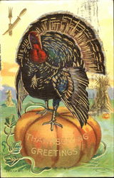 Thanksgiving Greetings Postcard