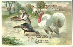 Thanksgiving Greeting Children Postcard Postcard