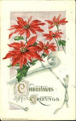 Christmas Greetings Postcard Postcard