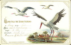 Cupid Told The Stork To Bring Babies Postcard Postcard