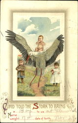 Cupid Told The Stork To Bring Babies Postcard Postcard